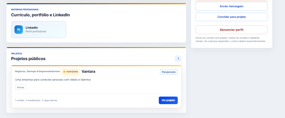 Links profissionais e projetos do usuário