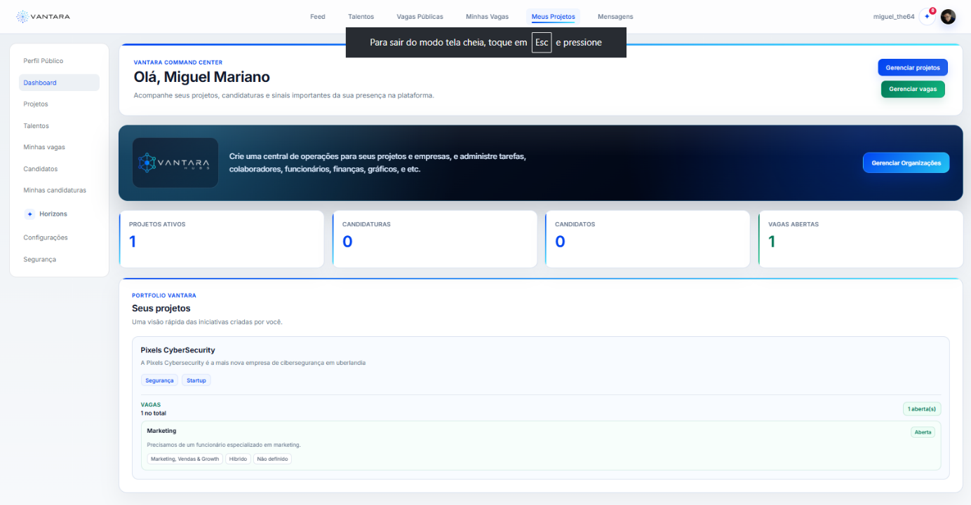 Dashboard da Vantara Connect